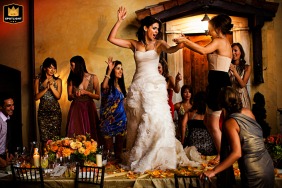 Bride dances on a table at a wedding reception in Sonoma, California.
